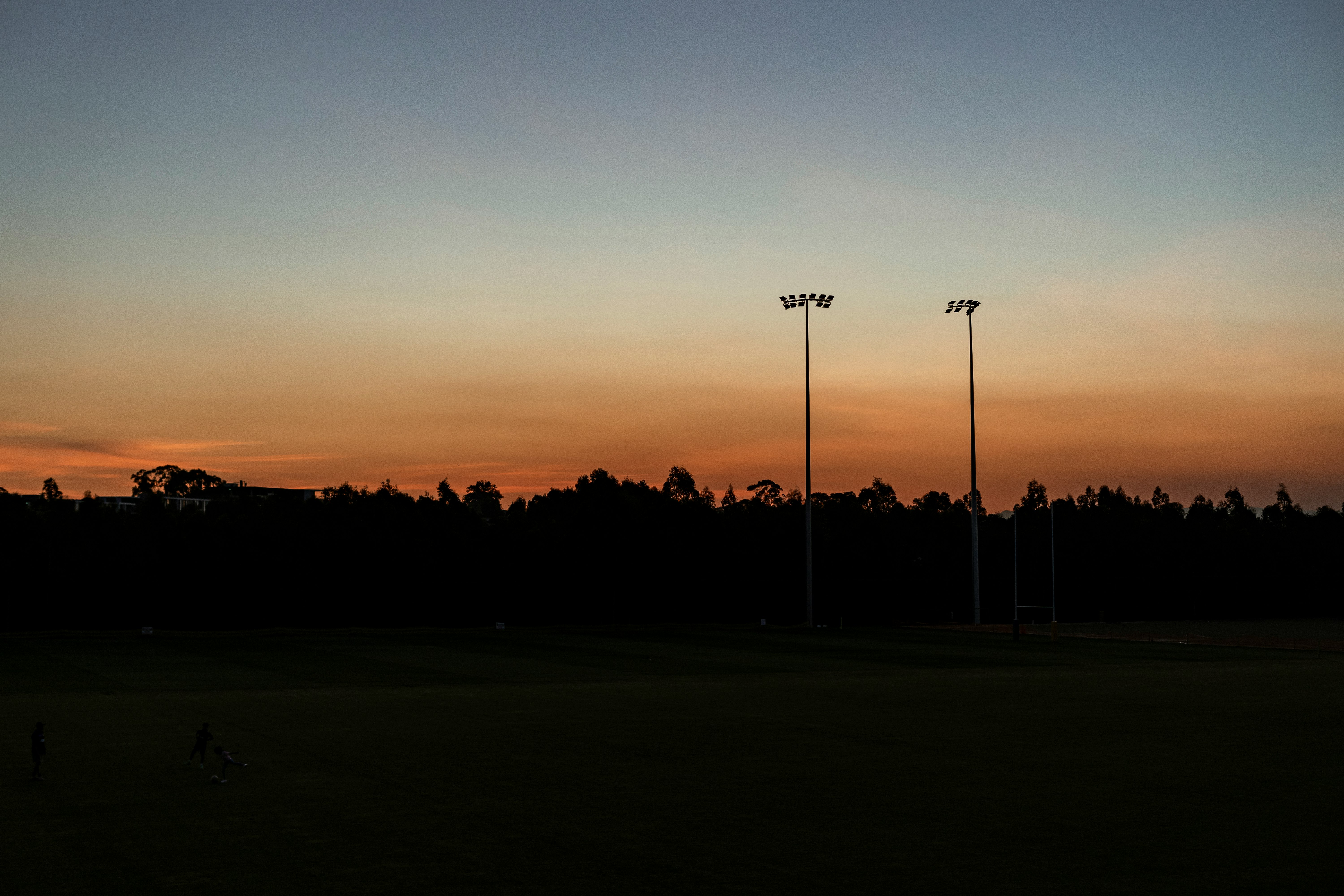 silhouette of trees during sunset